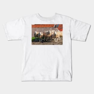 Sheep on the dike, Elsfleth Kids T-Shirt